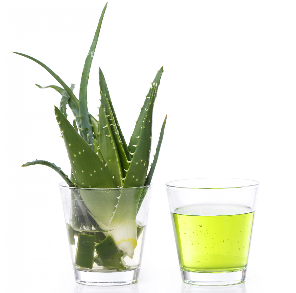 storage/files/1/news/manfaat-aloevera.jpg